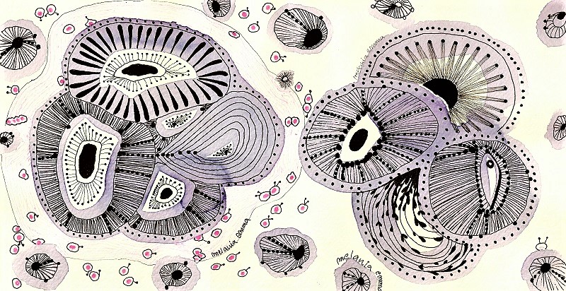 sea flowers 1 e&nbsp;2